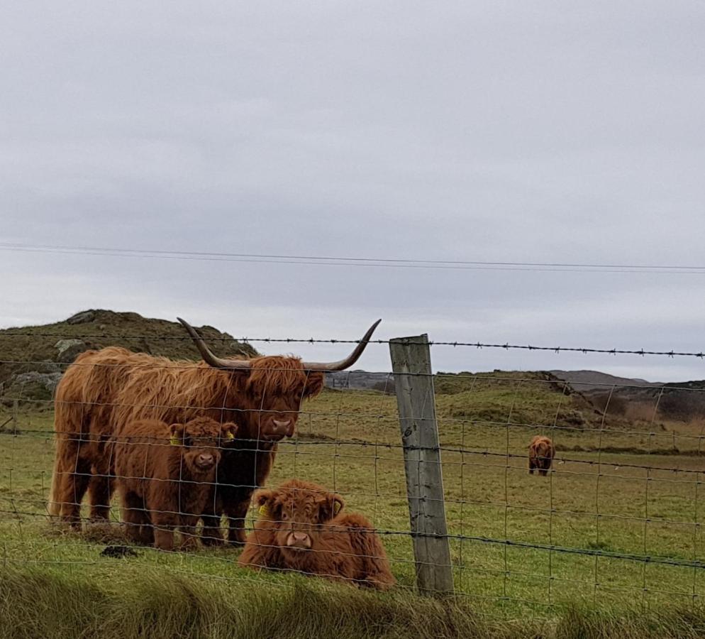 Bed and Breakfast Tidal View Kincasslagh Exterior foto