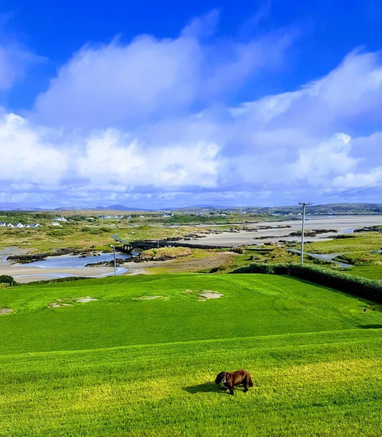 Bed and Breakfast Tidal View Kincasslagh Exterior foto